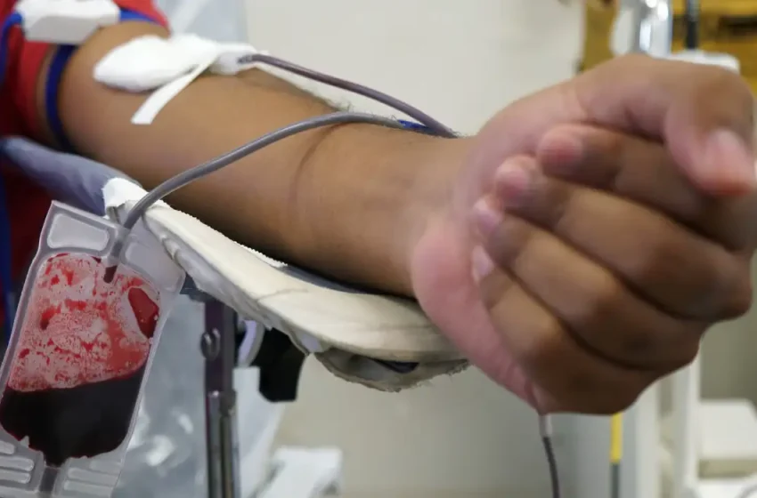  Prefeitura de Feira lança campanha de incentivo à doação de sangue