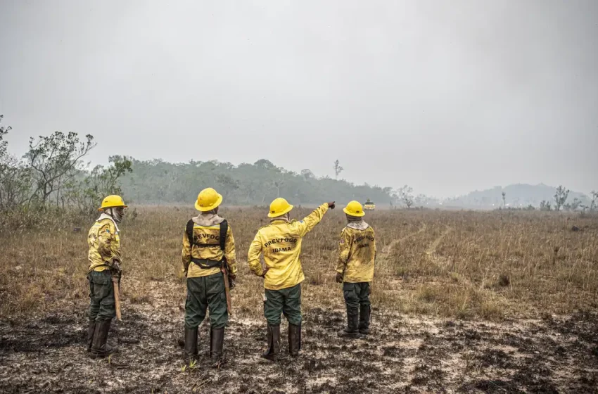  Dino estabelece orçamento de emergência para combate a incêndios