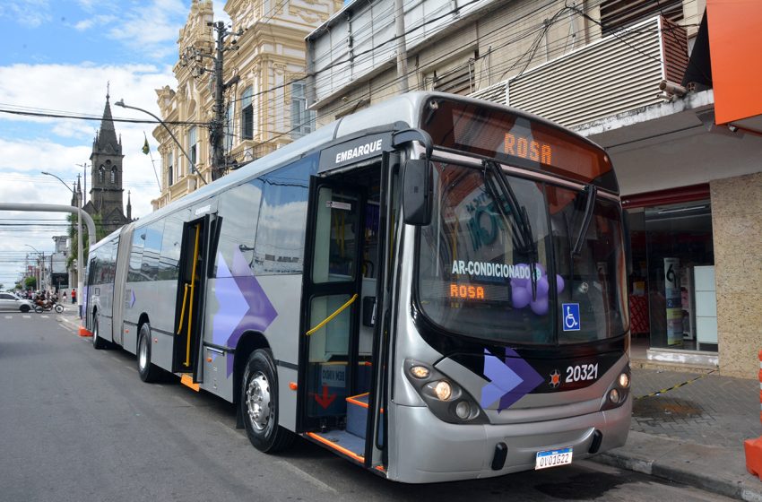 Estudantes têm até o próximo dia 31 para renovar cartão para meia passagem