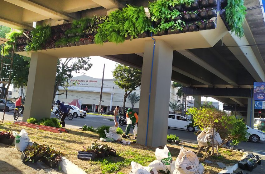  SESP promove requalificação do viaduto J. J. Lopes de Brito