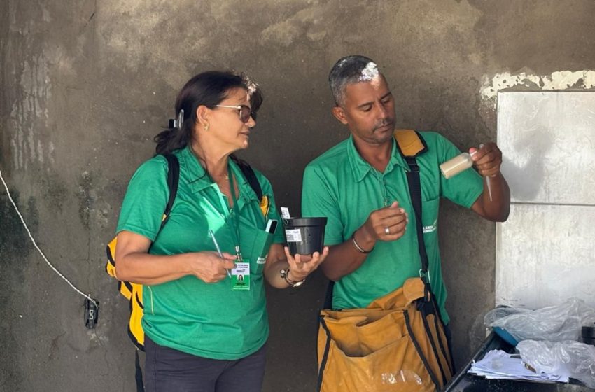 Feira de Santana registra avanço no combate ao Aedes aegypti