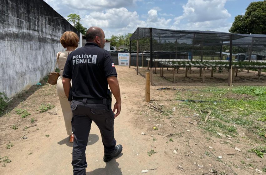 Secretaria da Mulher realiza visita técnica ao Conjunto Penal Feminino de Feira de Santana