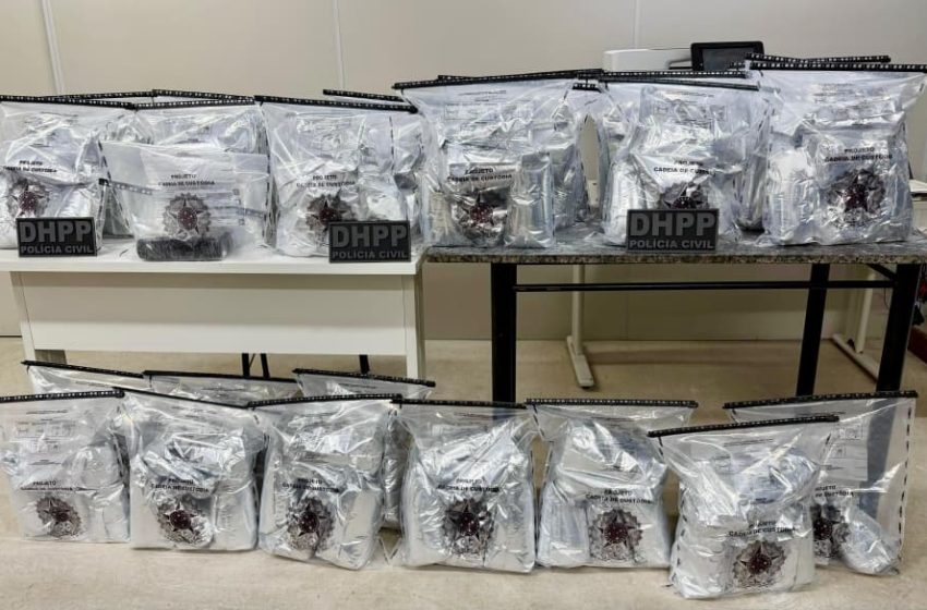  Polícia Civil apreende 80 kg de cocaína durante operação na BR-324