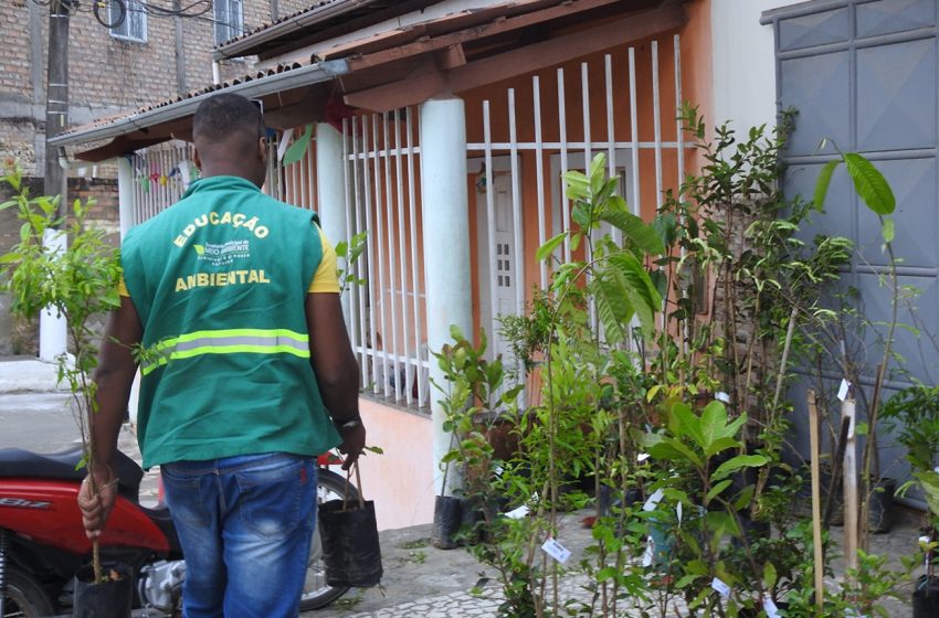  Feira Mais Verde leva distribuição de mudas e educação ambiental aos distritos de Feira de Santana